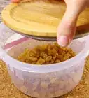 Make Raisins