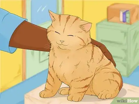 Image titled Earn a Kitten's Trust Step 6