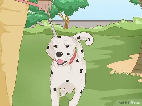 Image titled Walk a Stubborn Dog Step 10