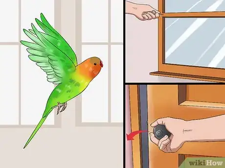 Image titled Train Your Budgie Step 3