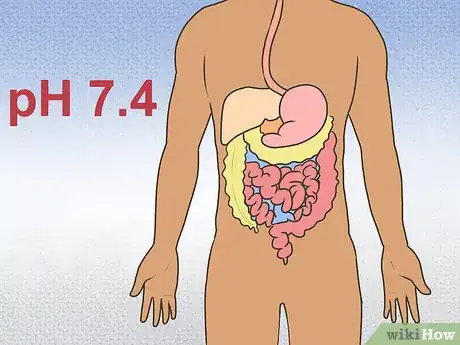 Image titled Mix Alkaline and Acidic Foods Step 11