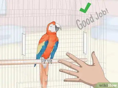 Image titled Teach Parrots to Talk Step 6