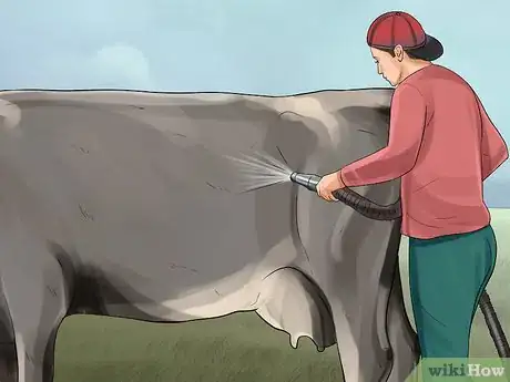 Image titled Clean a Cow Step 4