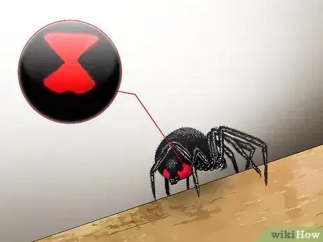 Image titled Kill a Venomous Spider Step 1