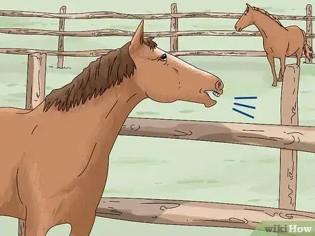 Image titled Tell if a Horse Is Frightened Step 10