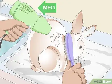 Image titled Keep Your Rabbit's Fur Clean and Untangled Step 17