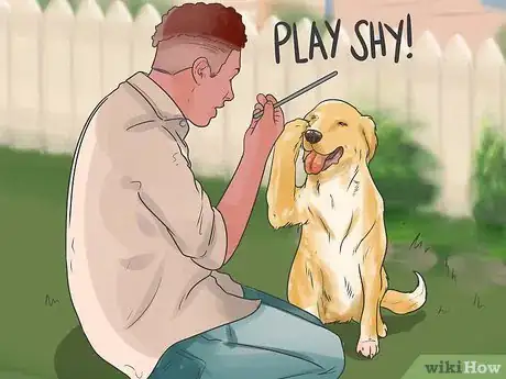 Image titled Teach Your Dog to Play Shy Step 11