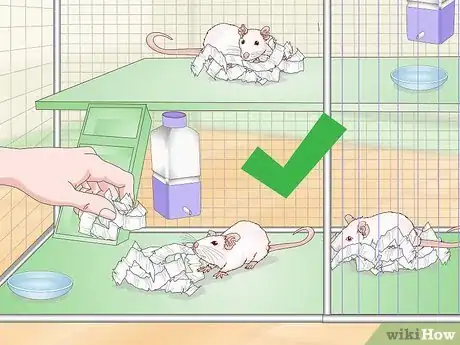 Image titled Stop Pet Mice from Fighting Step 6