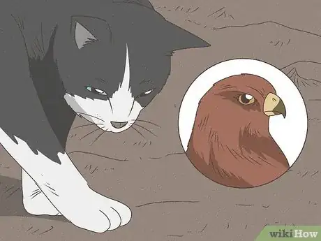 Image titled Why Do Cats Bury Their Poop Step 1