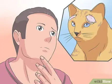 Image titled Recognize and Treat Ringworm in Cats Step 13