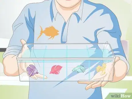 Image titled Pick a Betta Fish Step 2
