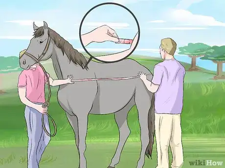 Image titled Use a Tape to Weigh a Horse Step 8