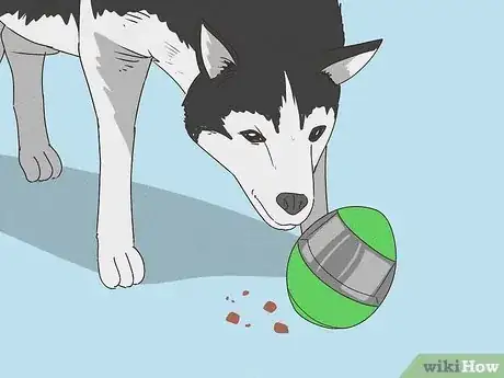 Image titled Keep Your Dog Calm After Neutering Step 8