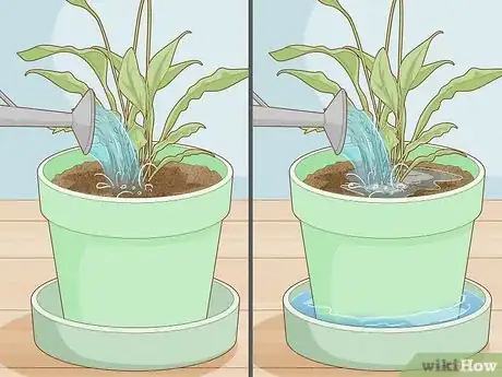 Image titled Get Rid of Gnats in Houseplants Step 11