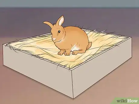 Image titled Rabbit‐Proof Your Home Step 15