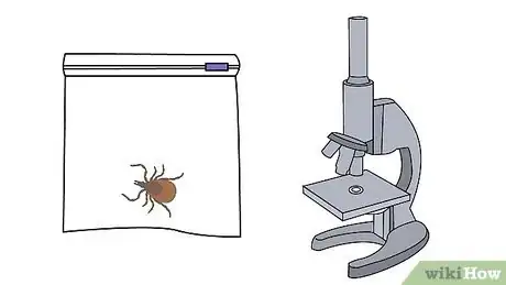 Image titled Remove a Tick Step 15