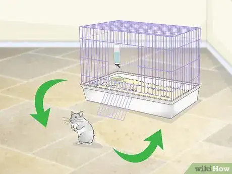 Image titled Supervise Hamsters Outside of the Cage Step 2