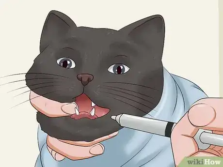 Image titled Give a Cat a Pill Step 26