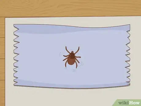 Image titled Get Rid of Ticks in Your Hair Step 11