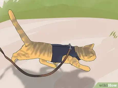 Image titled Prevent Cats from Digging Up Houseplants Step 13