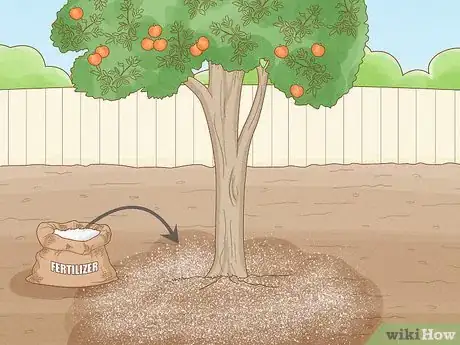 Image titled Fertilize a Citrus Tree Step 10