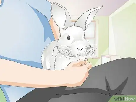 Image titled Give a Rabbit Medication Step 8