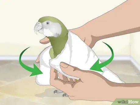 Image titled Apply Eye Drops in a Parrot's Eye Step 5