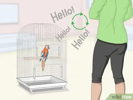 Image titled Teach Parrots to Talk Step 4