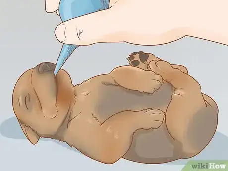 Image titled Revive a Puppy Step 5