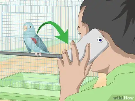 Image titled Spot Signs of Illness in Parrotlets Step 12