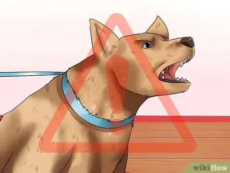 Image titled Make a Dog Stop Biting Step 20