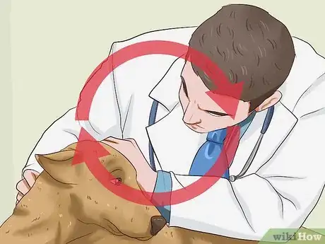 Image titled Treat Worms in Dogs Step 14