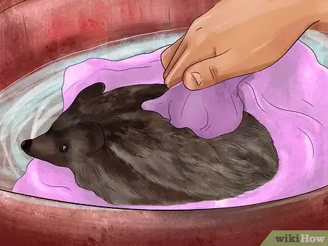 Image titled Bathe a Hedgehog Step 12