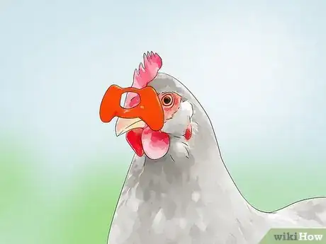 Image titled Keep Chickens from Eating Their Own Eggs Step 11
