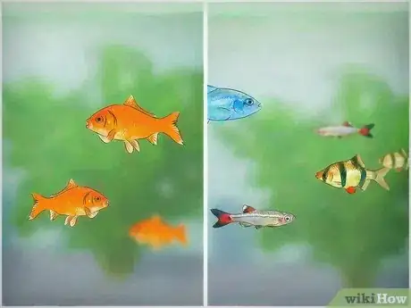 Image titled Cycle a Fish Tank Step 21
