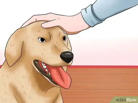 Image titled Make a Dog Stop Biting Step 9