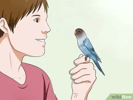 Image titled Teach Your Budgie to Talk Step 2