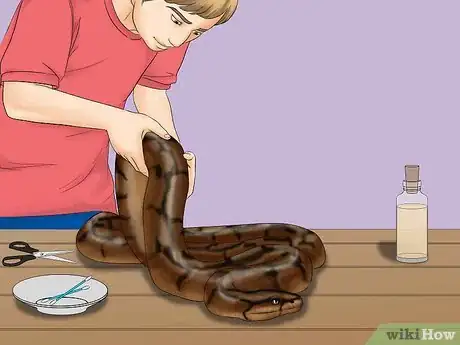 Image titled Remove Duct Tape from a Snake Step 11