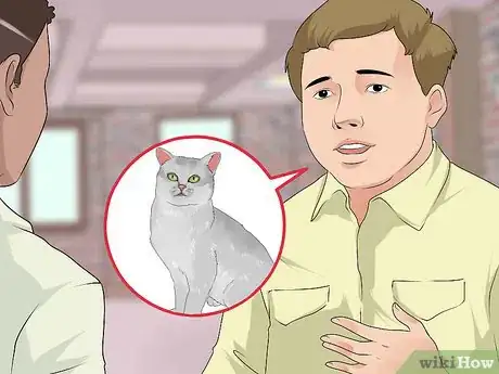 Image titled Identify a Burmilla Cat Step 17
