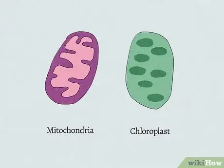 Image titled What Are the 3 Parts of the Cell Theory Step 16