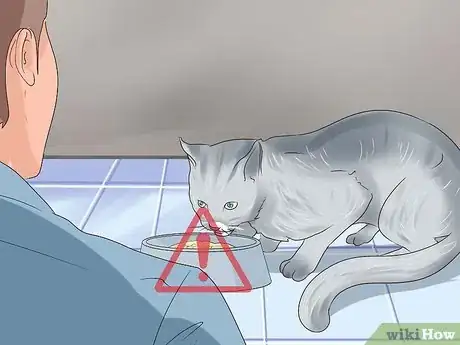 Image titled Check Cats for Worms Step 5