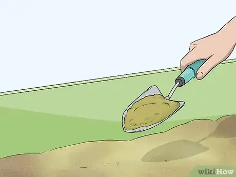 Image titled Care for Your Box Turtle Step 8