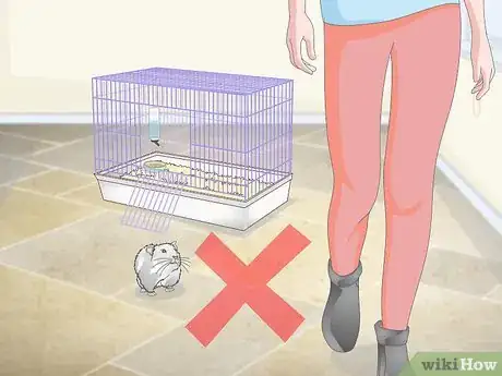 Image titled Supervise Hamsters Outside of the Cage Step 5