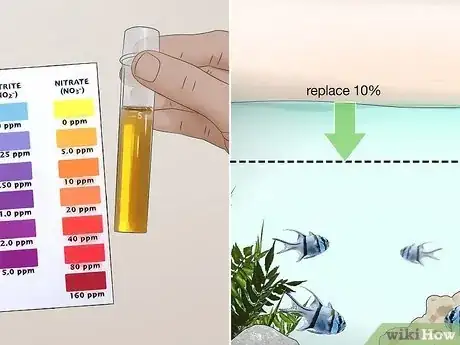 Image titled Start a Saltwater Aquarium Step 40