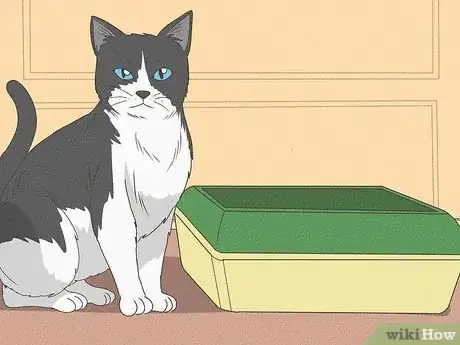 Image titled Why Do Cats Bury Their Poop Step 5