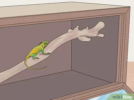 Image titled Build a Reptile Cage Step 8