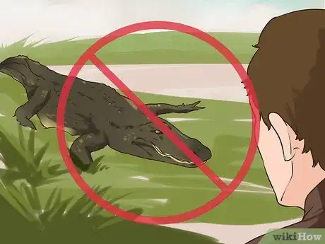 Image titled Avoid an Alligator Attack Step 1