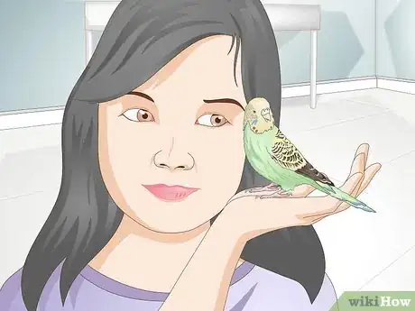 Image titled Get Rid of Mites on Budgies Step 9