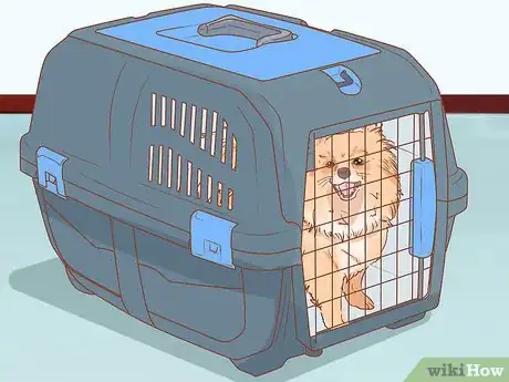 Image titled Take Care of a Pomeranian Step 4