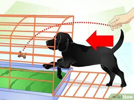 Image titled Raise a Dog Step 9